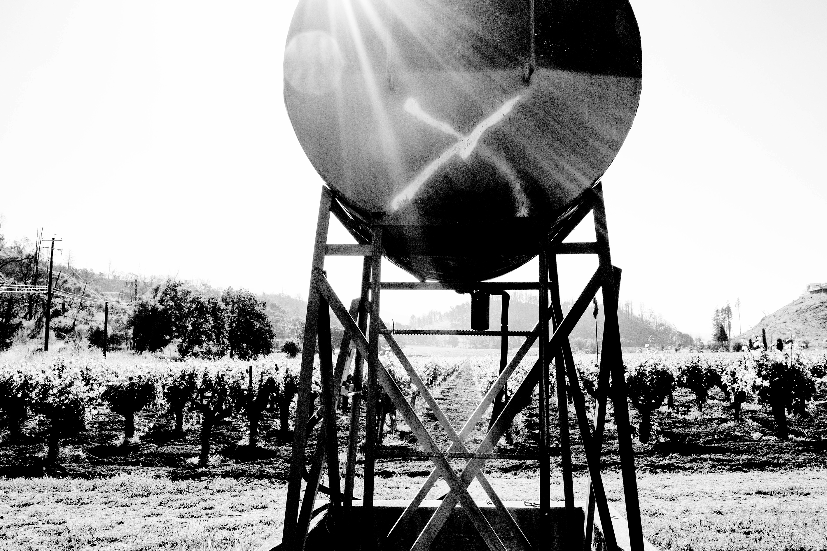 Matt Morris - The Wine Independent